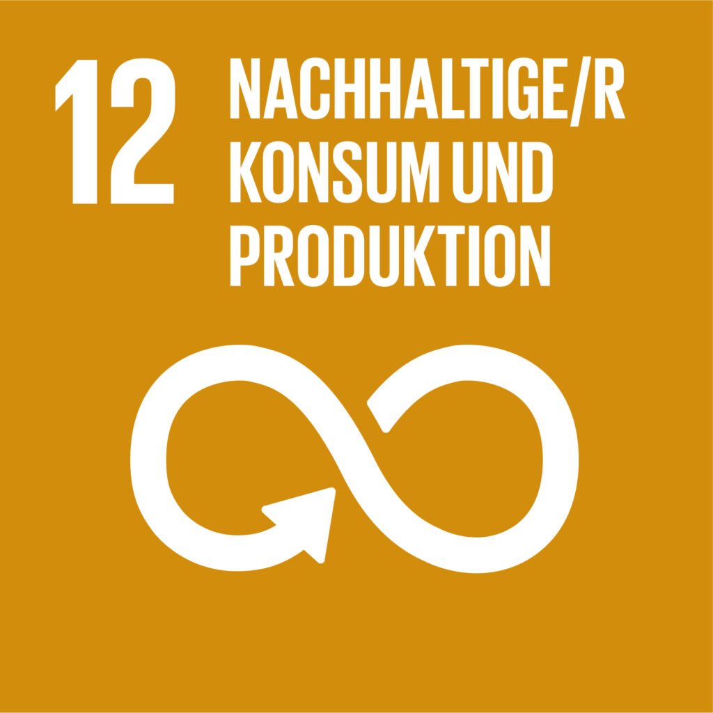 sdg icon de 12