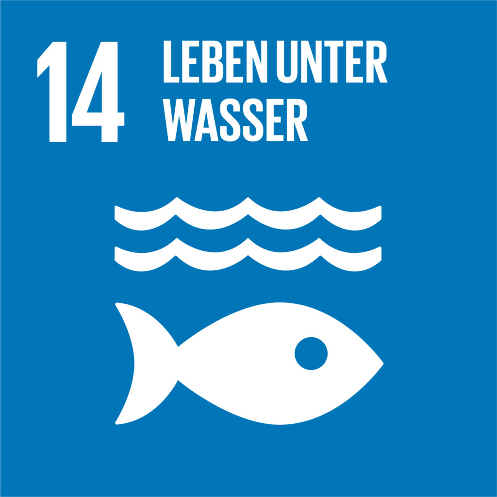sdg icon de 14