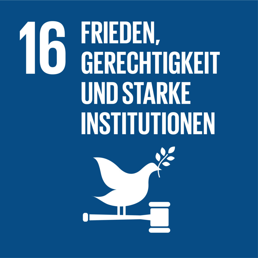 sdg icon de 16